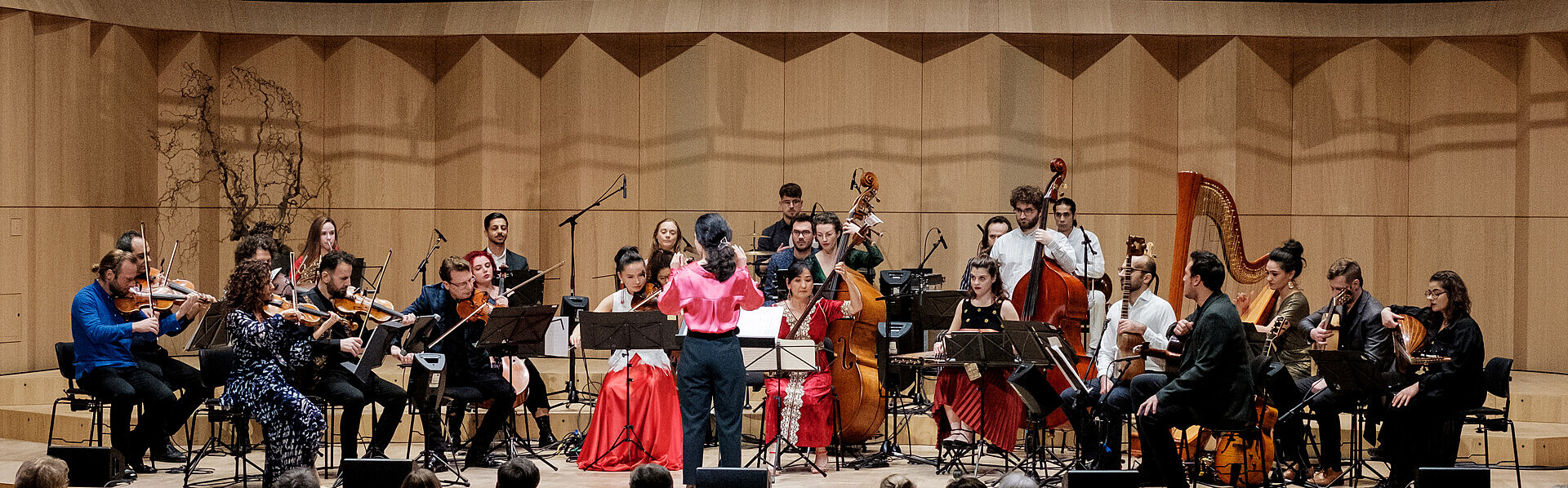 Das Bridges Kammerorchester kommt erneut ins Casals Forum